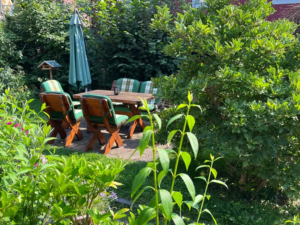 Seating area in the garden: Cosy wooden furniture among flowers and shrubs, right by the house.