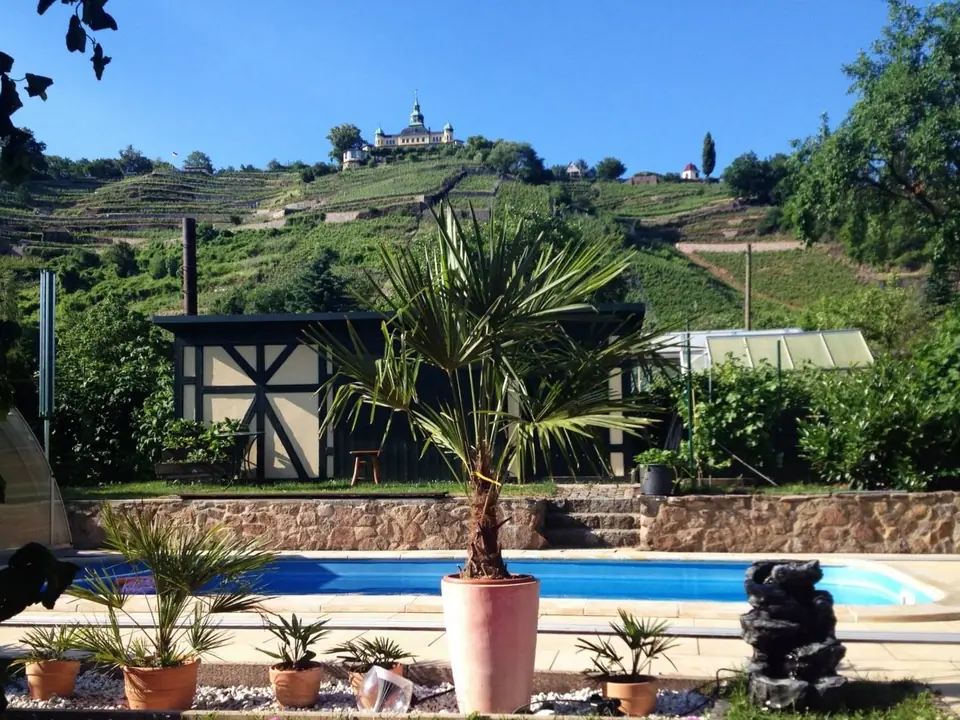 Pool on request: With a view of the vineyard terraces and the Spitzhaus.