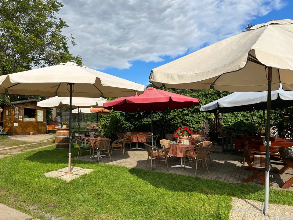 The wine tavern on a summer day: parasols and tables in the garden, with the sales hut on the left