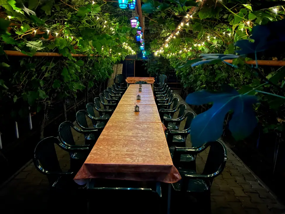 The greenhouse at night