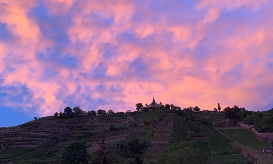 The vineyard terraces in the evening, the Spitzhaus at the top under glowing pink clouds